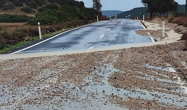 Polis uyardı: Dipkarpaz - Zaferburnu Anayolu'na dikkat!