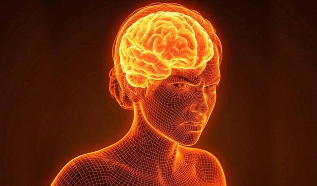 Sürekli şikayet etmek beyni fiziksel olarak değiştiriyor