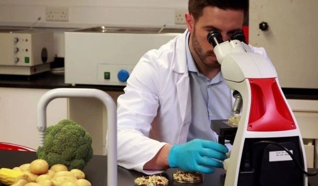 Haftalık gıda denetimi: Yerli sebzelerde uygunsuz pestisit tespit edildi