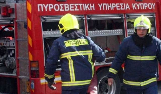 Güney Kıbrıs’ta bir çiftlikte yangın: Binden fazla küçükbaş telef oldu