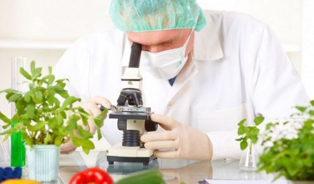 Yerli çilek, mandalin ve salatalıkta limit üstü bitki koruma ürünü tespit edildi