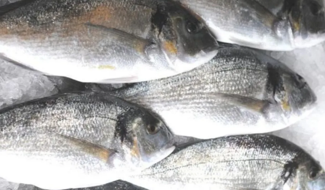 Kötü Hava Nedeniyle Balıklar Çiftlikten Kaçtı