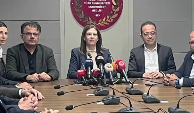 Sıla Usar İncirli: Tasarılar geri çekilsin, erken seçim tarihi belirlensin