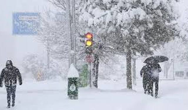 Meteoroloji illeri tek tek uyardı! Kuvvetli kar yağışı geliyor