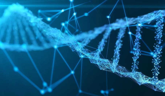 180 yıldır kayıp olan denizcilerin kimlikleri DNA ile belirlendi