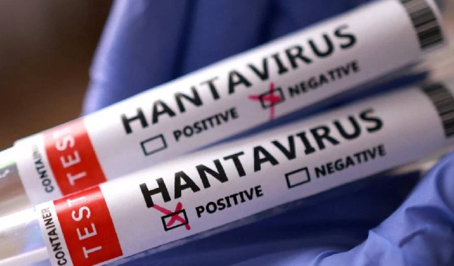 DSÖ, hantavirüsün küresel nüfus için riskinin düşük olduğunu tekrarladı