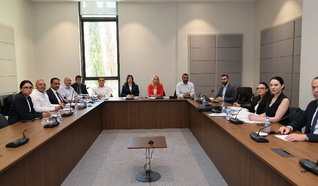 Hukuk, Siyasi İşler, Dışilişkiler ve Savunma Komitesi toplandı