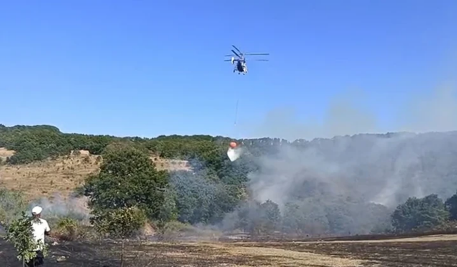 Bursa'da orman yangını! Alevlere havadan ve karadan müdahale ediliyor