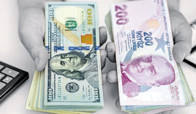 TL, doları ikiye katladı! Dövizde ‘reel kayıp’ büyüyor