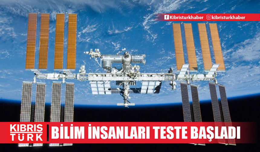 Bilim insanları, uzayda organ nakli testlerine başlıyor