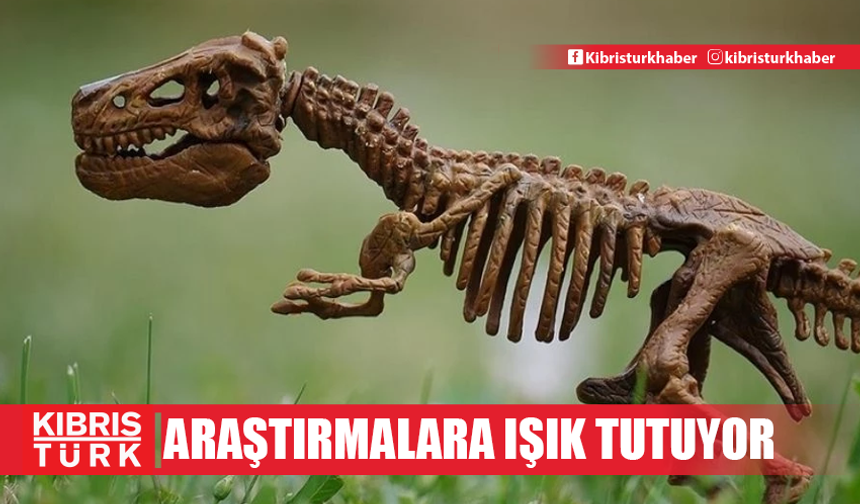 Dinozorların fosilleşmiş dışkıları besin alışkanlıklarına ışık tutuyor