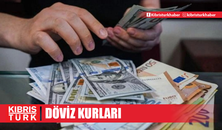 Döviz Kurları