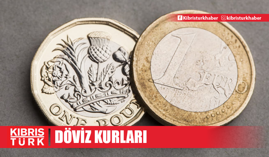 Döviz Kurları