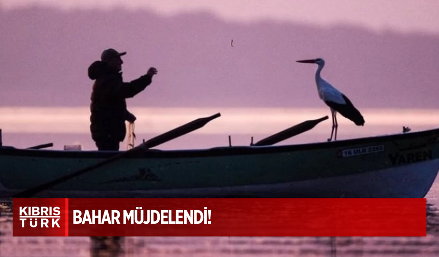 Bahar müjdelendi: Yaren leylek, 14. Yılında da balıkçı Adem Yılmaz'ın kayığına kondu