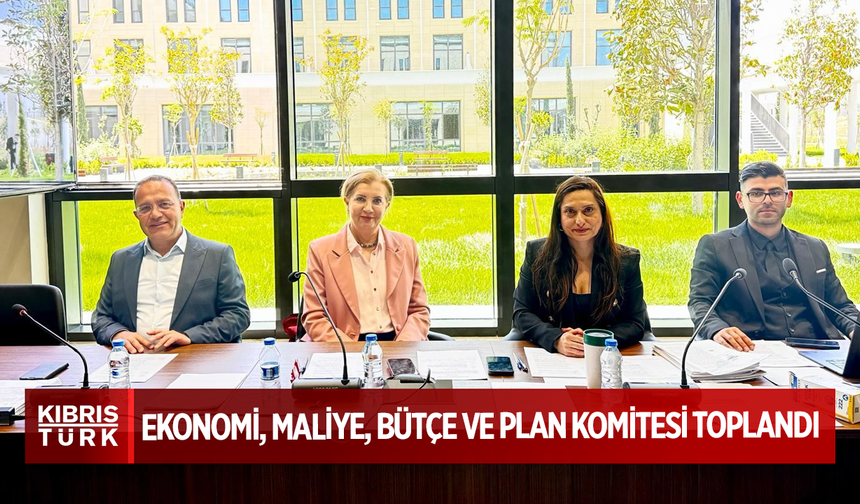 Ekonomi, Maliye, Bütçe ve Plan Komitesi toplandı