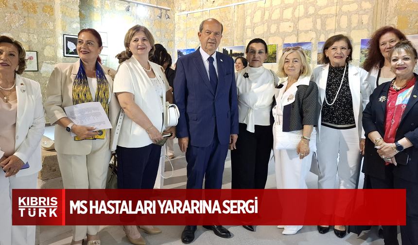 MS hastaları yararına sergi