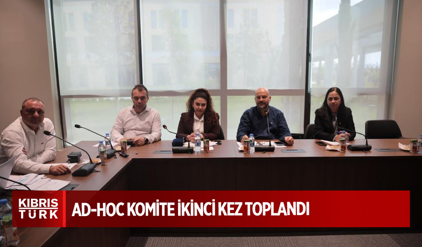 Dijital dünyada çocuk haklarıyla ilgili çalışma yapan Ad-Hoc komite ikinci kez toplandı