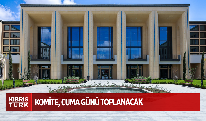 Dijital dünyada çocuk haklarına ilişkin komite, cuma günü toplanacak