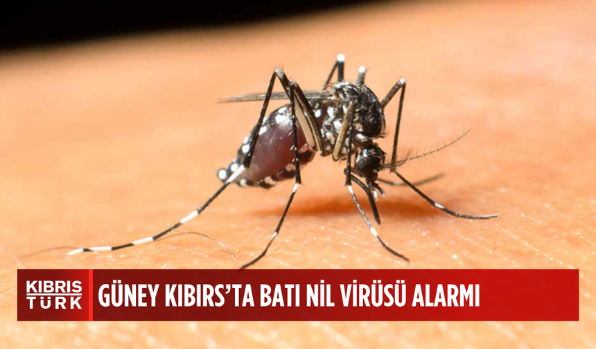 Batı Nil Virüsü konusunda alarm