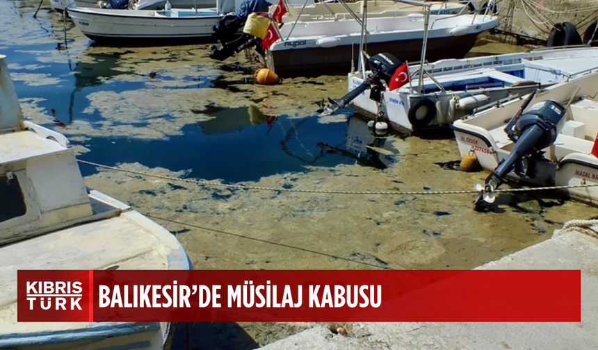 Yine ortaya çıktı: Kıyıları sarıyor...