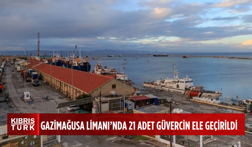Gazimağusa Limanı'nda 21 güvercin ele geçirildi: 2 tutuklu
