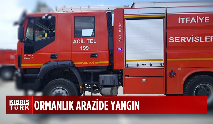 Mersinlik Göleti’nin güneyindeki ormanlık arazide mangal yakmaya çalışan kişi yangına sebep oldu