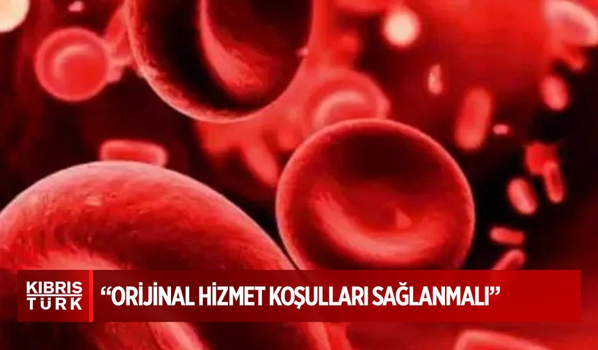 Thalassemia Derneği: “Tedavinin eksiksiz uygulanabilmesi için orijinal hizmet koşulları sağlanmalı”