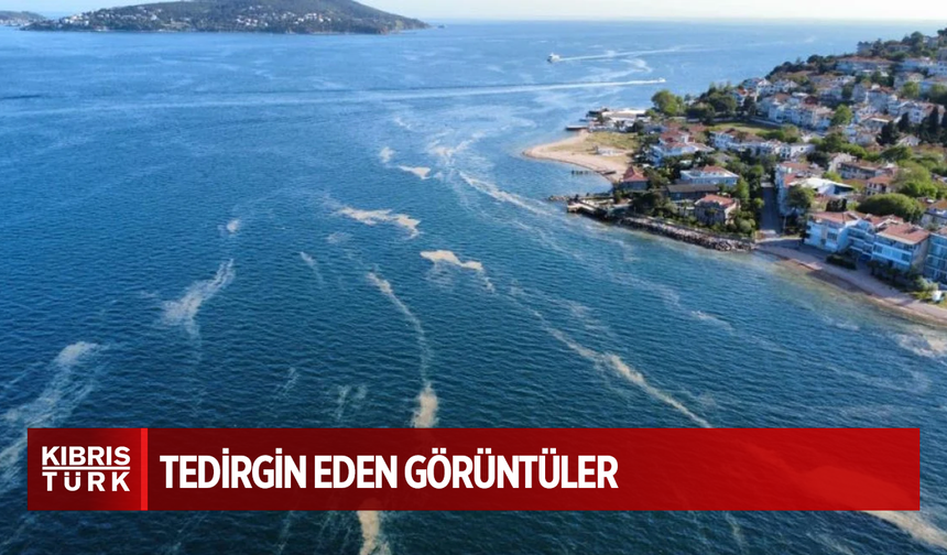 İstanbul açıklarında müsilaj görüldü