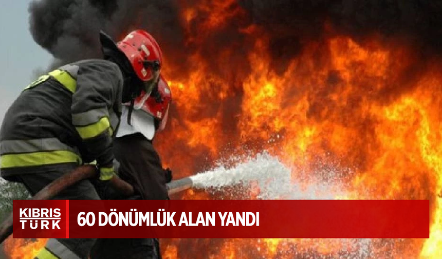 Atlılar Köyü’nde 60 dönümlük alan yandı