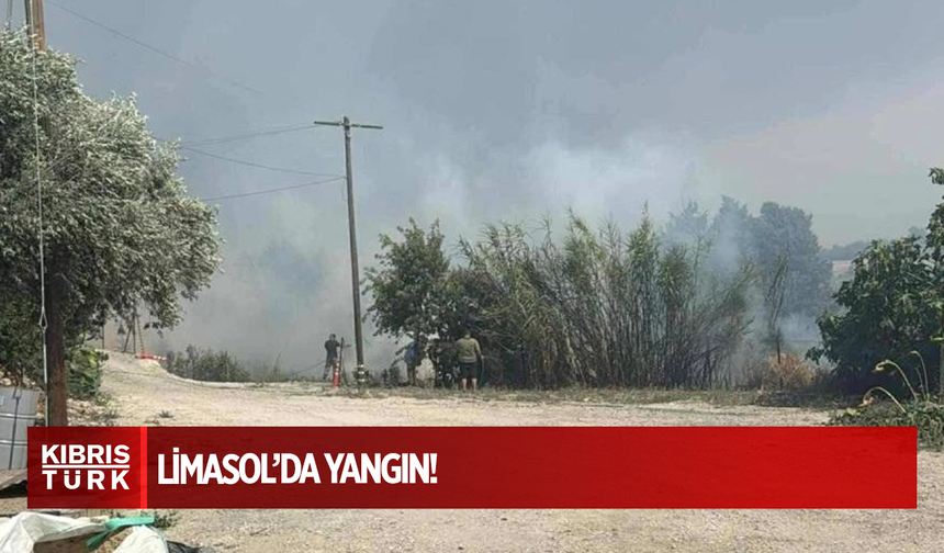 Limasol’un dağlık bölgesinde hızla yayılan yangın Vuni ve Potami’ye doğru ilerliyor