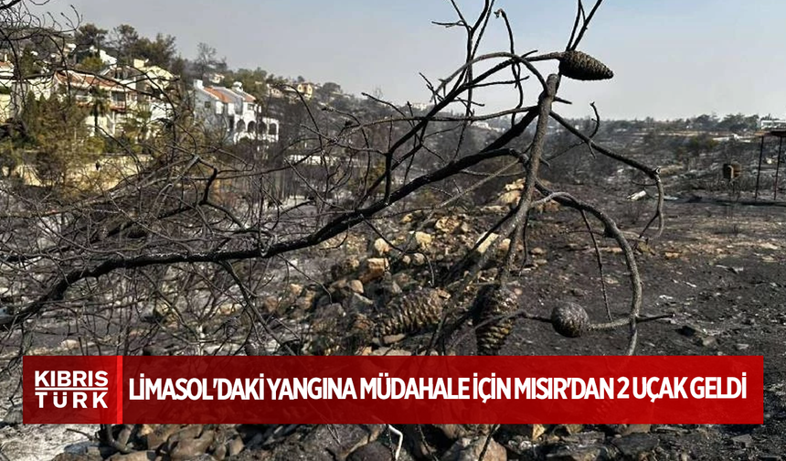 Limasol'daki yangına müdahale için Mısır'dan 2 uçak geldi