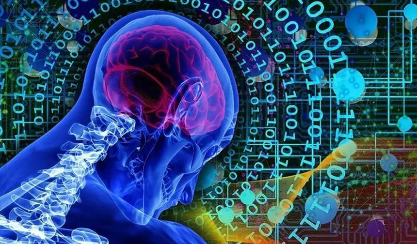 İnsanın beyin dokularıyla çalışan bilgisayarlar geliyor
