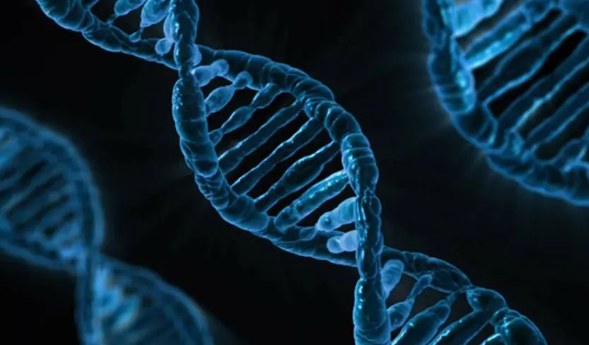 İnsan DNA'sında gizli bir zayıf nokta keşfedildi. "Mozaik mutasyonları" tetikliyor