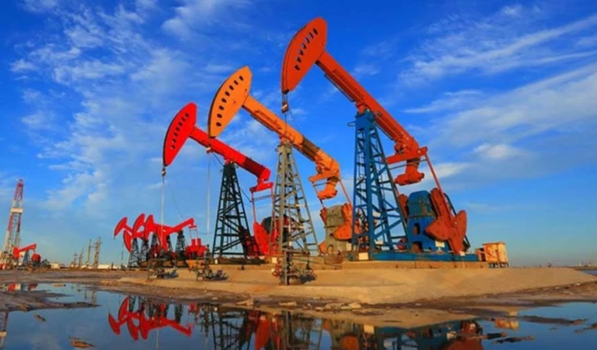 BAE: OPEC ve OPEC+'ten ayrılma kararı kimseye yönelik değil