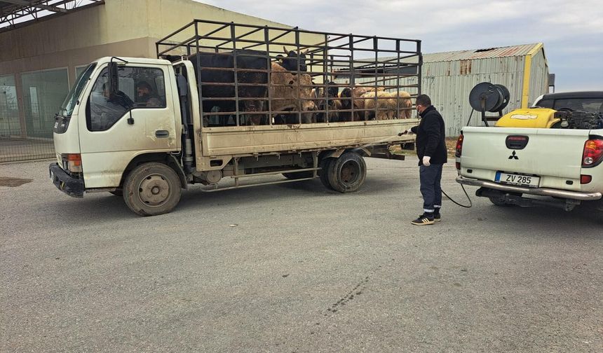 LTB, Boğaziçi Köyü’nde Tespit Edilen Şap Hastalığına Karşı Önlemleri Hızla Hayata Geçirdi