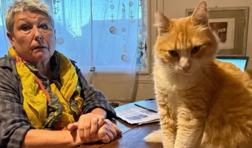 Kediye Ceza: Evden Çıkması Yasak