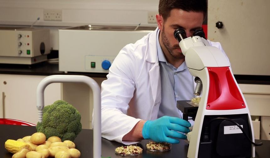 Haftalık gıda denetimleri... 2 yerli üründe tavsiye dışı bitki koruma ürünü tespit edildi