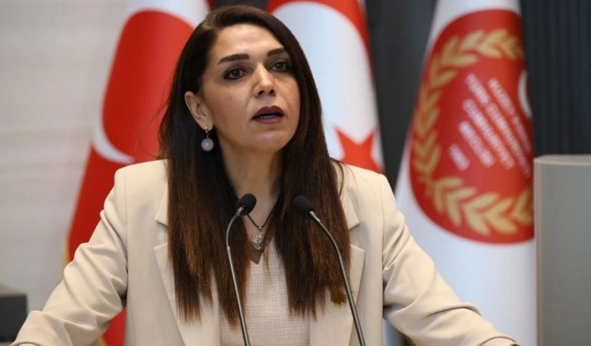 Fide Kürşat: Hayvancılıkta çöküş kapıda; üretici tükenmiş durumda