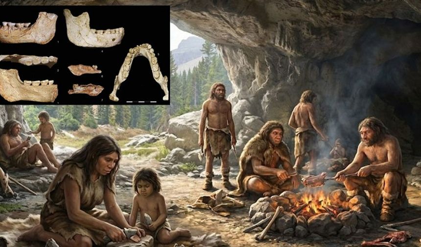 773 bin yıllık fosiller büyük gizemi çözdü: İnsanların ortak atası Afrikalı
