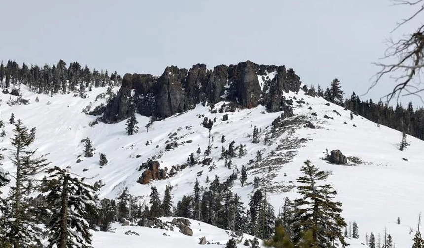 ABD'de yaşanan çığda hayatını kaybeden kayakçıların sayısı 9 oldu