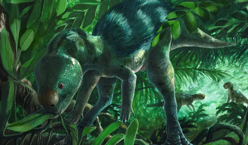 Bilim insanları tavuk büyüklüğünde bir dinozor keşfetti: “Dünyanın en küçüğü olmaya aday”