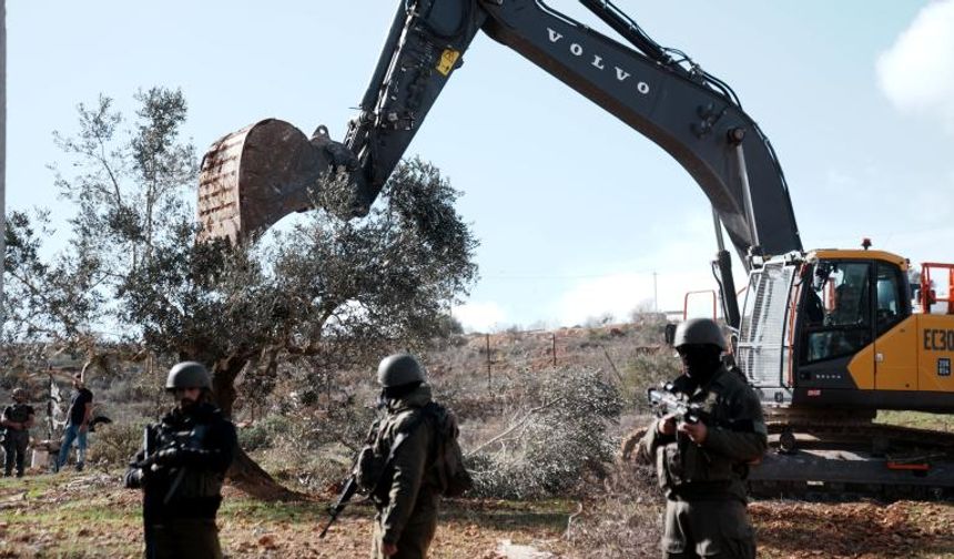 İşgalci İsrail, Batı Şeria'da 777 ağacı sökerek 761 bin dolarlık zarara yol açtı