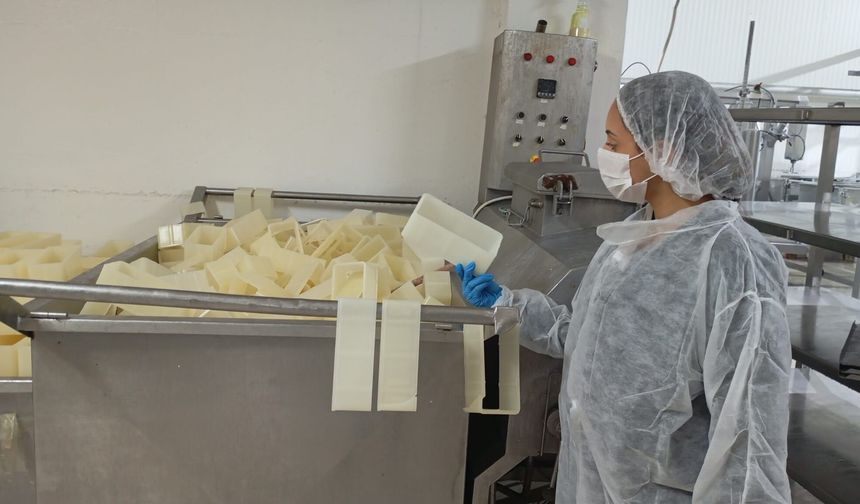 Süt fabrikası mühürlendi