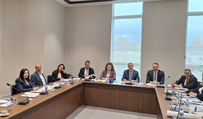 Sayıştay Komitesi Ercan Raporunu Görüştü