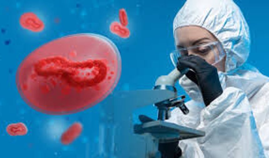 İngiltere'nin Kent bölgesinde menenjit salgını: Vaka sayısı 20'ye yükseldi