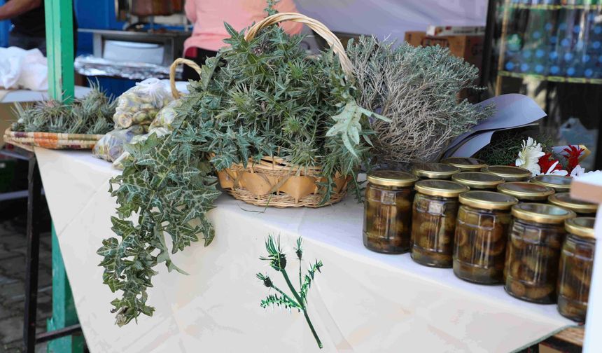 13. Yiğitler Gafgarıt Festivali yapıldı