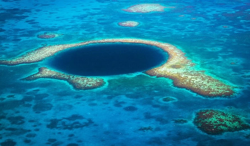 Mercan Denizi'nde 100'den fazla derin deniz türü keşfedildi