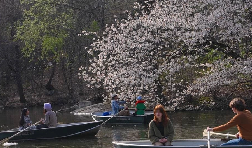 Mart 2026, dünyada kayıtlardaki en sıcak dördüncü mart ayı oldu