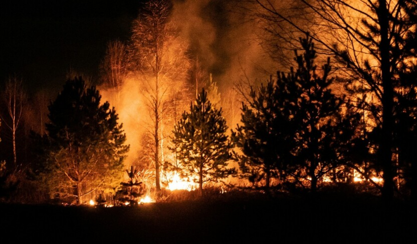 ABD’de orman yangını: yüzlerce ev zarar gördü
