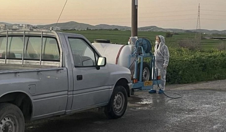 Güney Kıbrıs’ta şap hastalığı yayılmaya devam ediyor